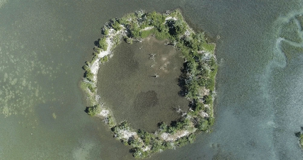 Shell mound, South Carolina