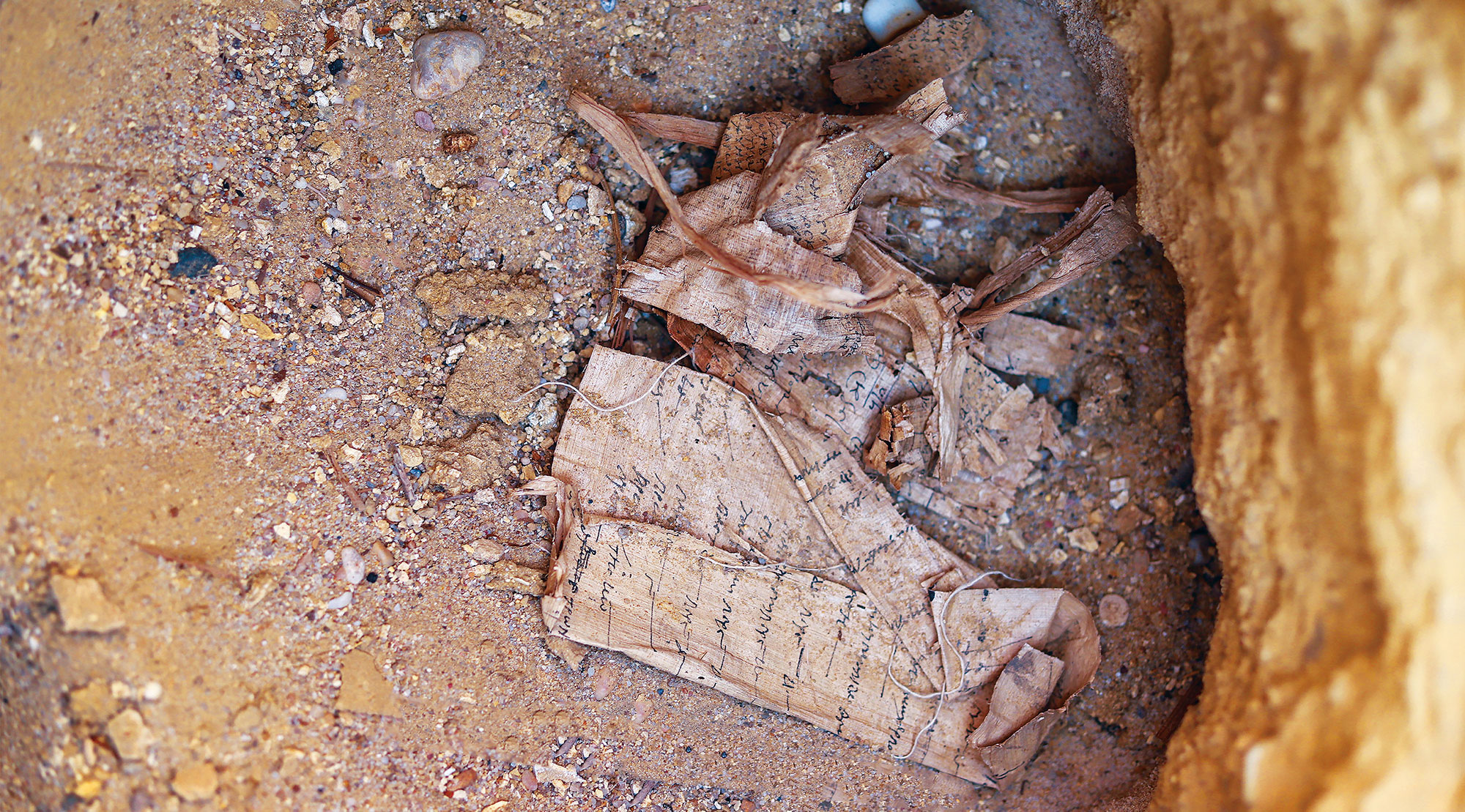 Clump of papyri in situ in a pit grave in the necropolis of Egypt's ancient city of Philadelphia