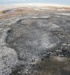 Top 10 Discoveries of 2024 - Grim Evidence from the Arctic