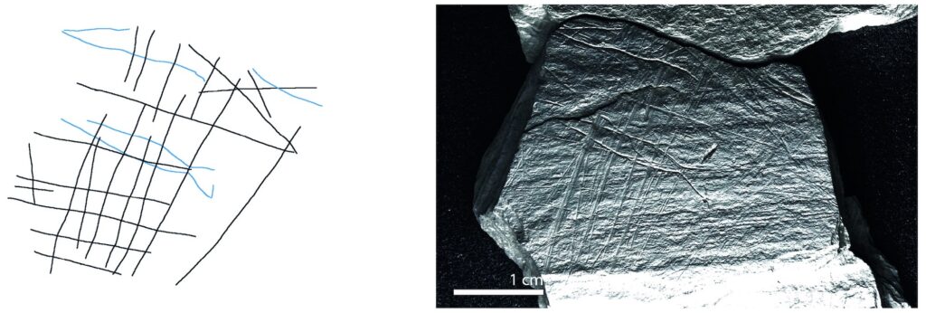 Drawing of engraved lines (left) on a schist plaquette (right) from Gönnersdorf, Germany