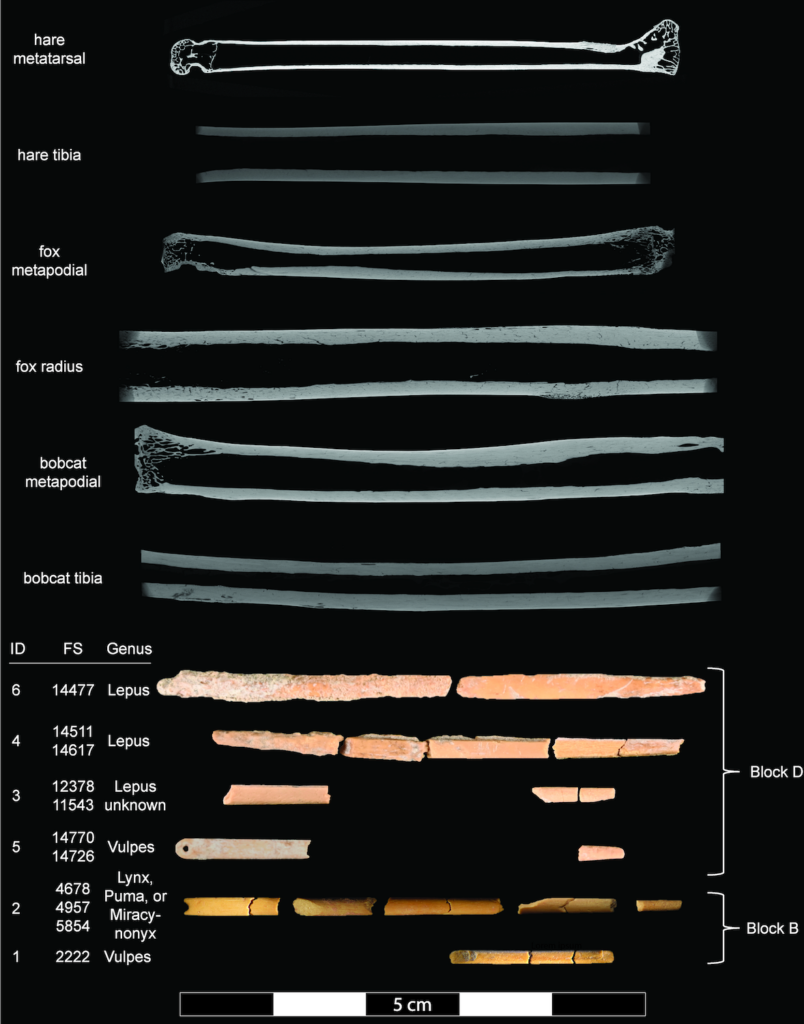 Bone needle and needle preform reconstructions and Micro-CT scans of comparative faunal specimens