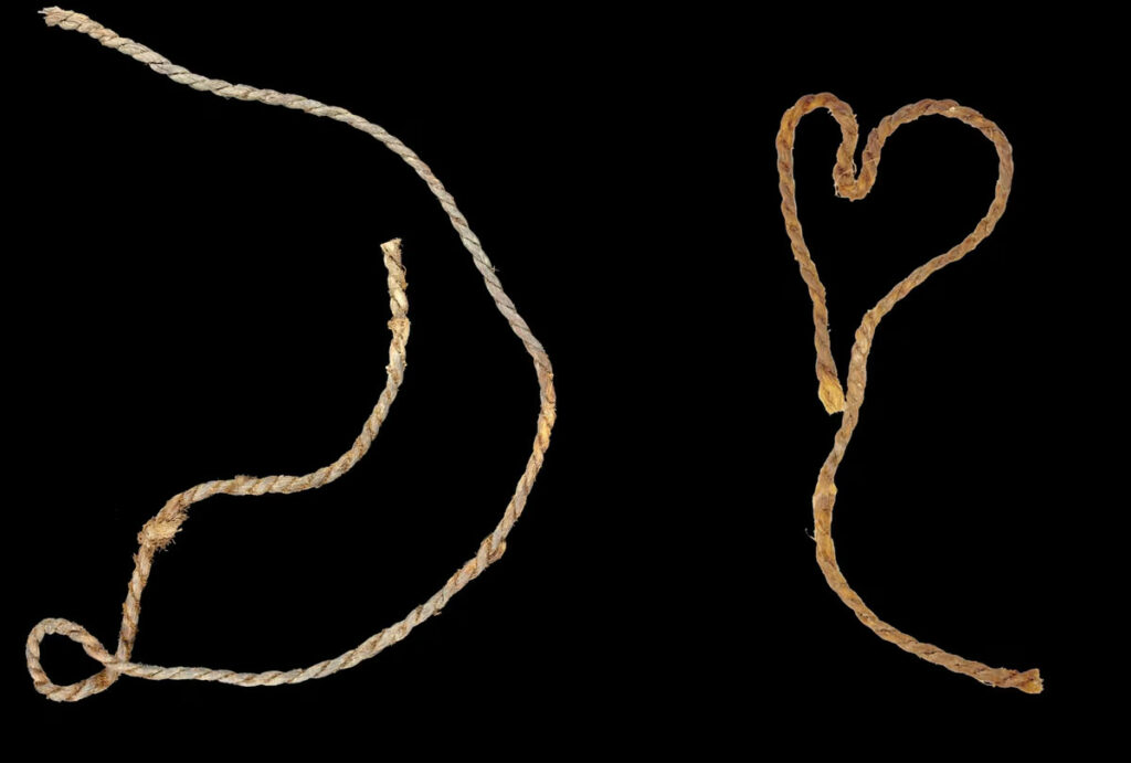 Fragments of sinew bowstrings