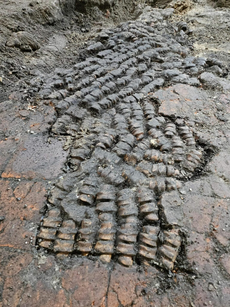 Tile floor repaired with bones, Alkmaar, The Netherlands