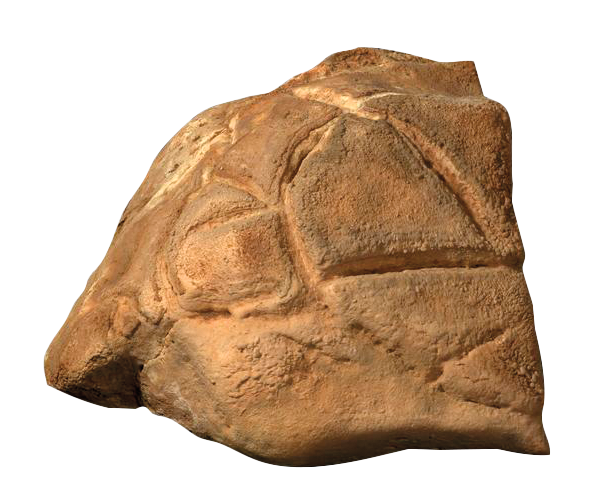 Stone carved in the shape of a tortoise, Manot Cave, Israel