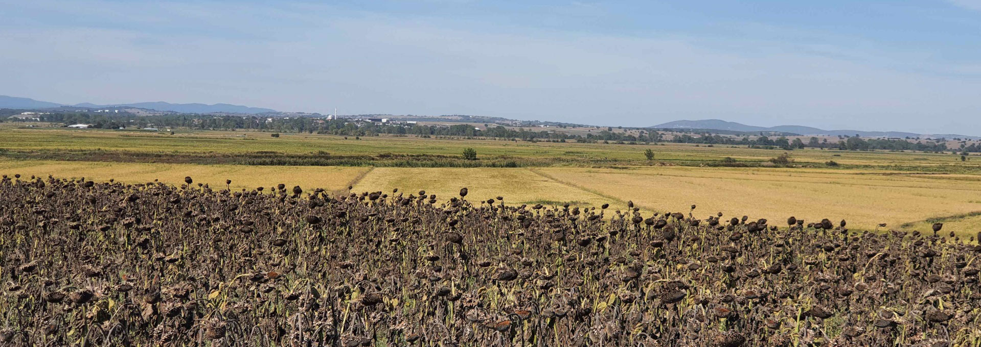 Granicus battlefield as seen by Greek mercenaries