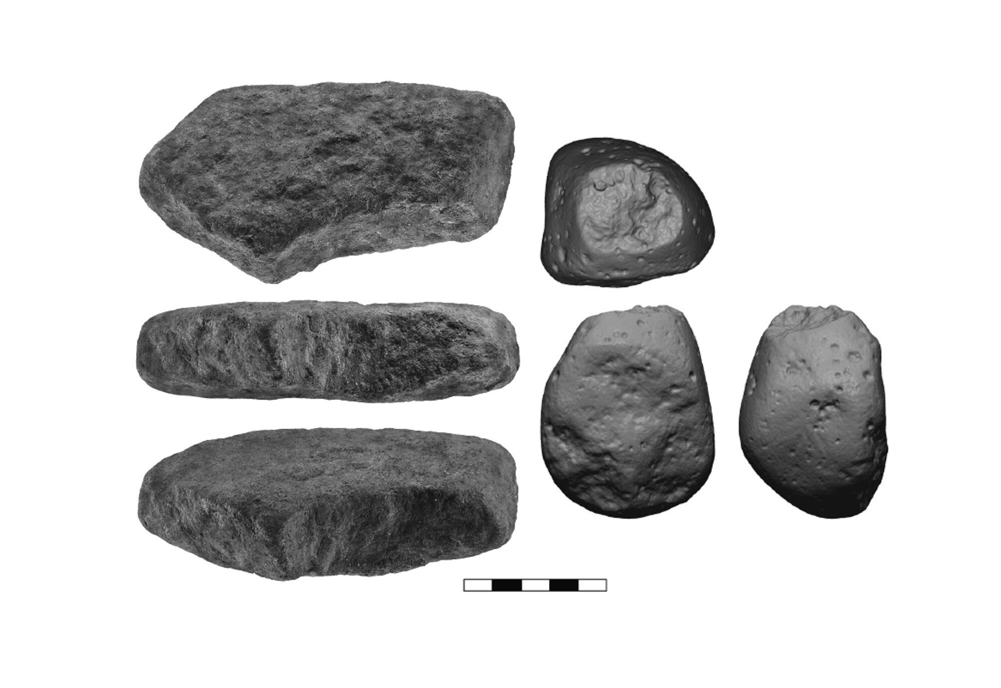 Stone anvil (left) and hammerstone (right) used for processing plants