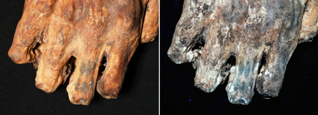 Tattooed fingers of a Chancay individual shown under white light (left) and laser-stimulated fluorescence (right)