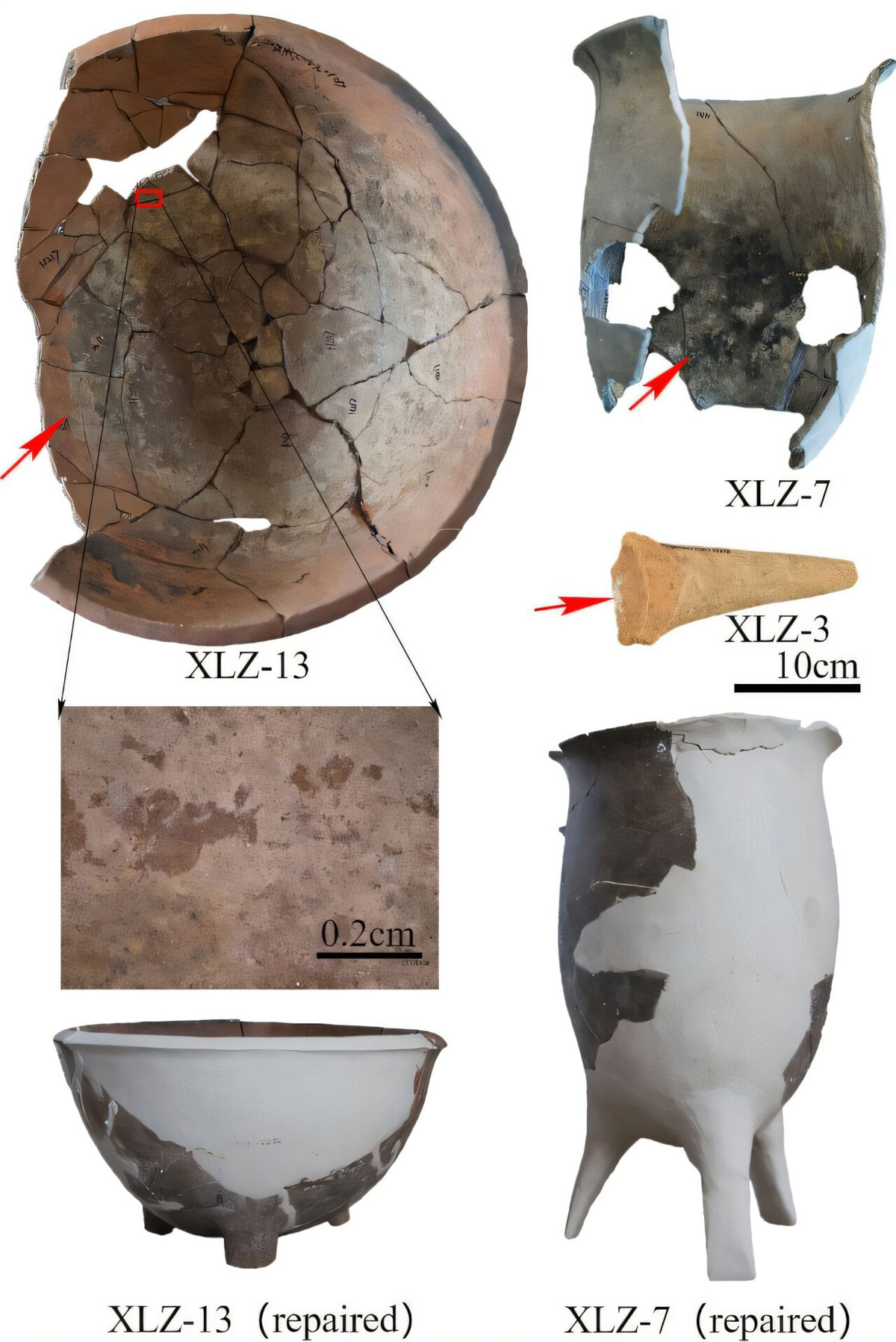 Wei et al. 2024, International Journal of Osteoarchaeology