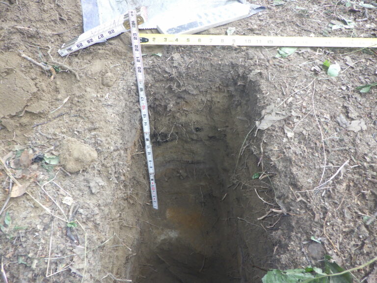 News - 1,000-Year-Old Food Storage Cache Discovered in Alaska ...