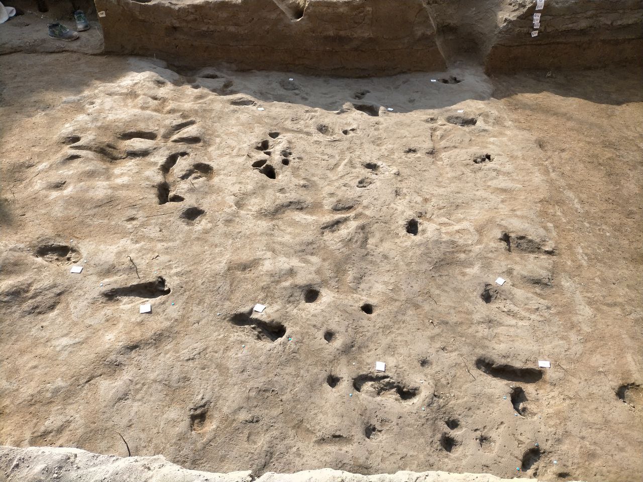 Bronze Age tracks, Salerno, Italy