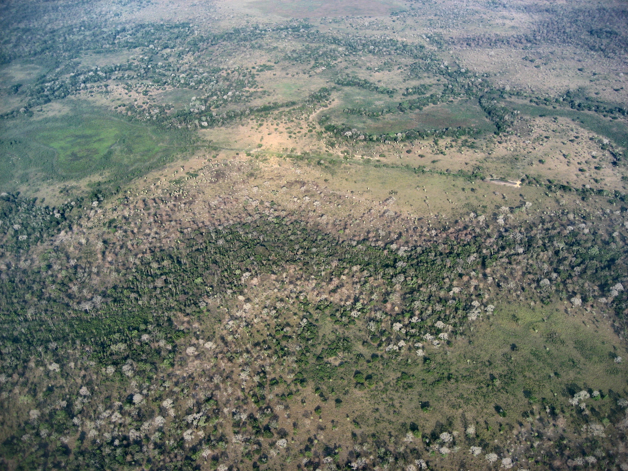 Drainage canal, Llanos de Moxos, Bolivia