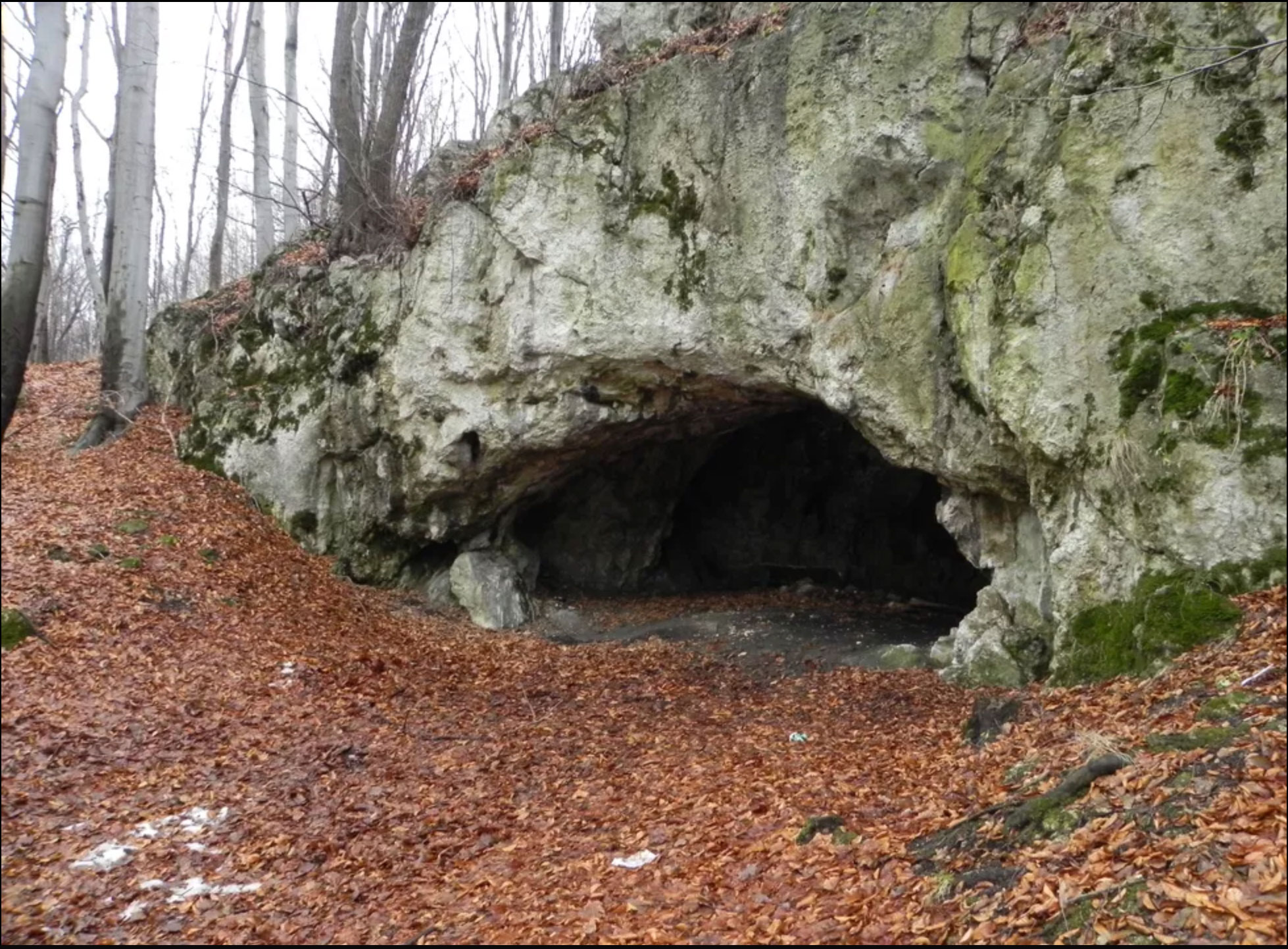 Maszycka Cave, Poland