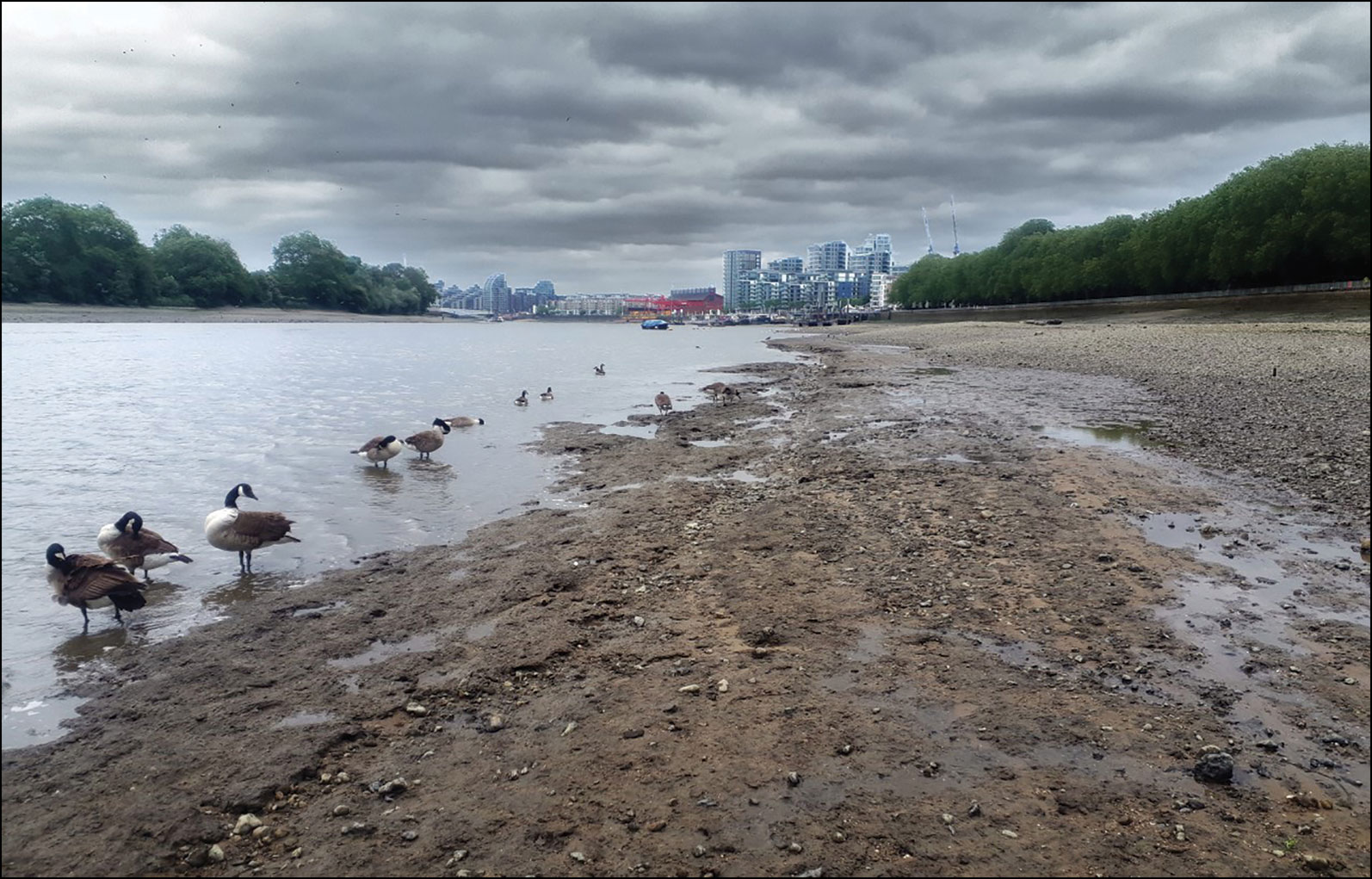 Thames River foreshore at Putney at low tide, looking downstream