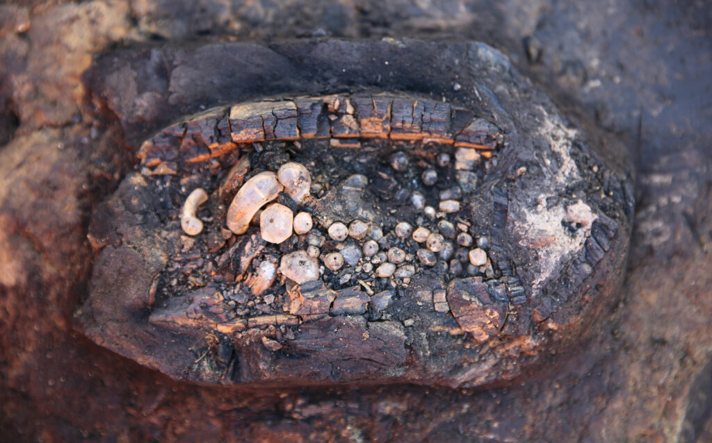 Lacquer box containing a crystal necklace, Gyeongju, South Korea