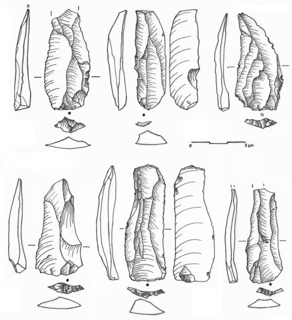 Drawing of stone blades found at Jebel Faya