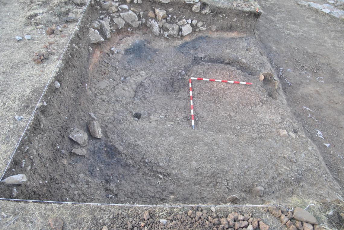 Excavation, La Pena del Castro, Spain