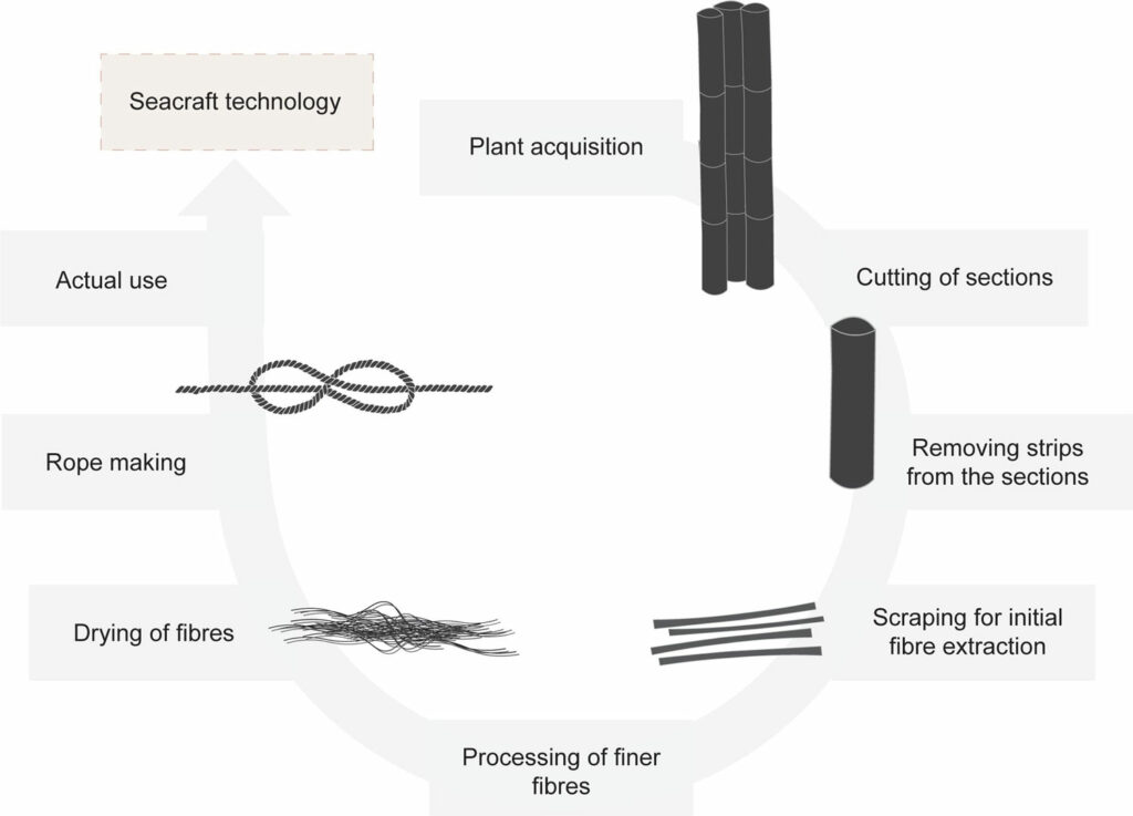 Chart showing the steps for acquiring and processing plant fibers in ancient Island Southeast Asia