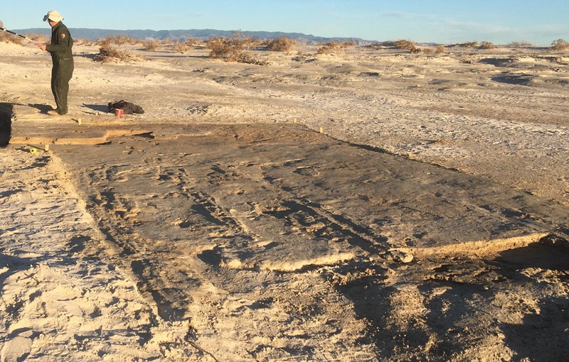 Drag marks preserved in dolomite, White Sands National Park, New Mexico