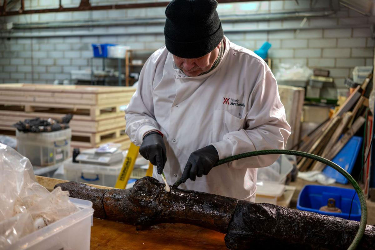 Conserving a wooden stake from Sheffield Castle, England