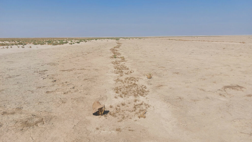 Canal, Eridu, Iraq