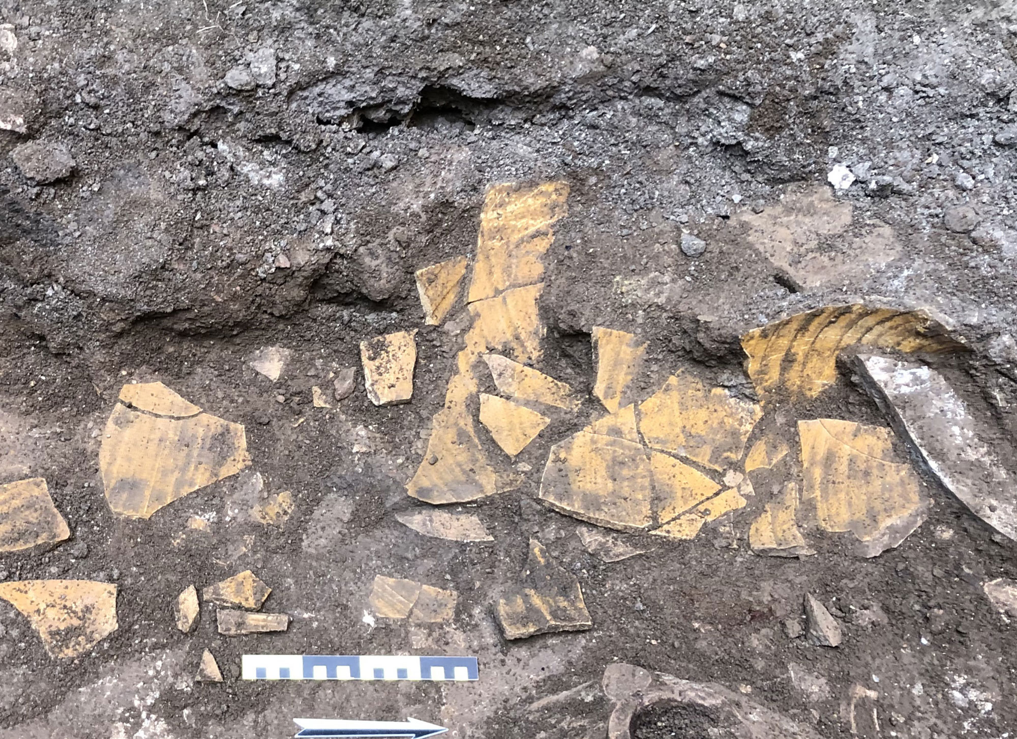 Yellow ocher recovered from inside an amphora, Domus Aurea, Rome