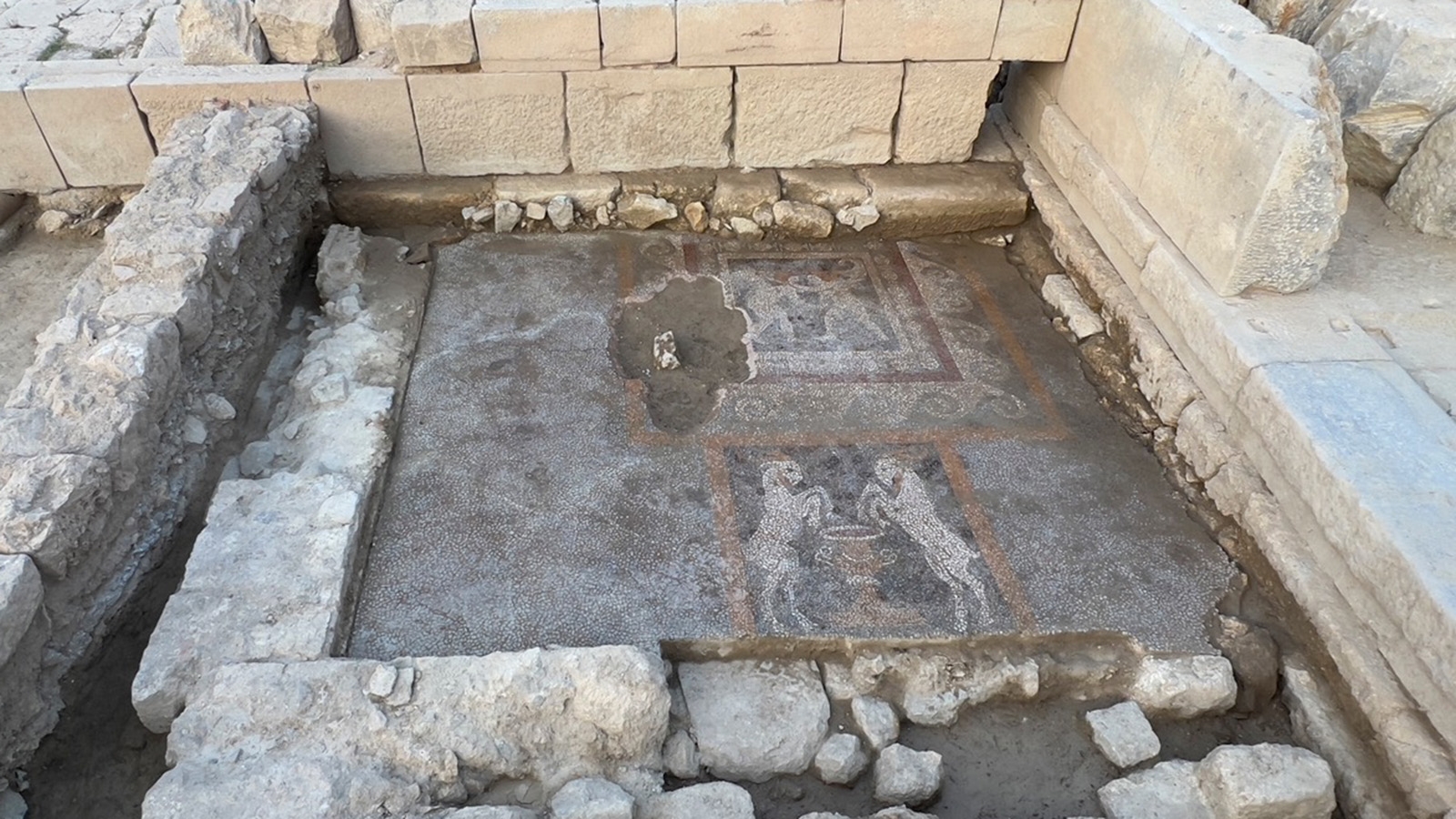 Mosaic uncovered in the bouleuterion in Teos, Turkey