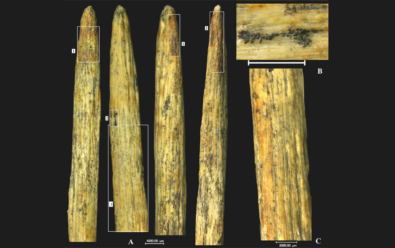Bone spear point