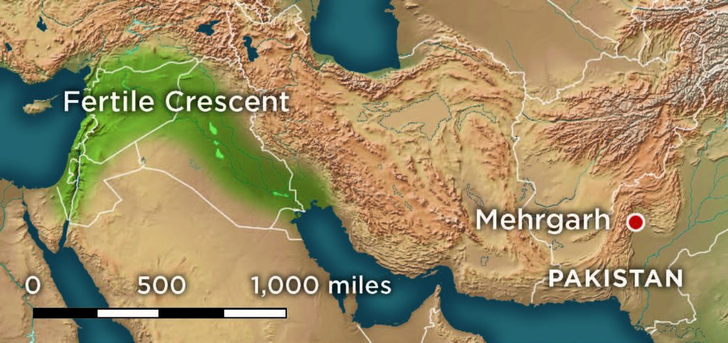 Map with green shading showing the Fertile Crescent and a dot for the site of Mehrgarh, Pakistan