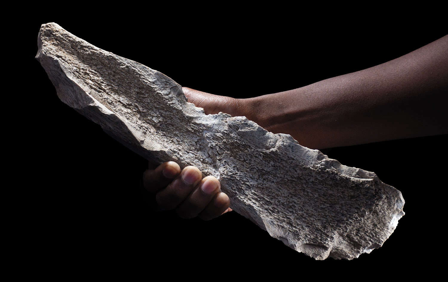 Digs & Discoveries - The Bone Toolkit - Archaeology Magazine