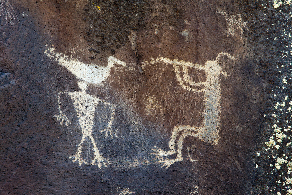 Rockart panel fluteplayer and duck figure, Utah