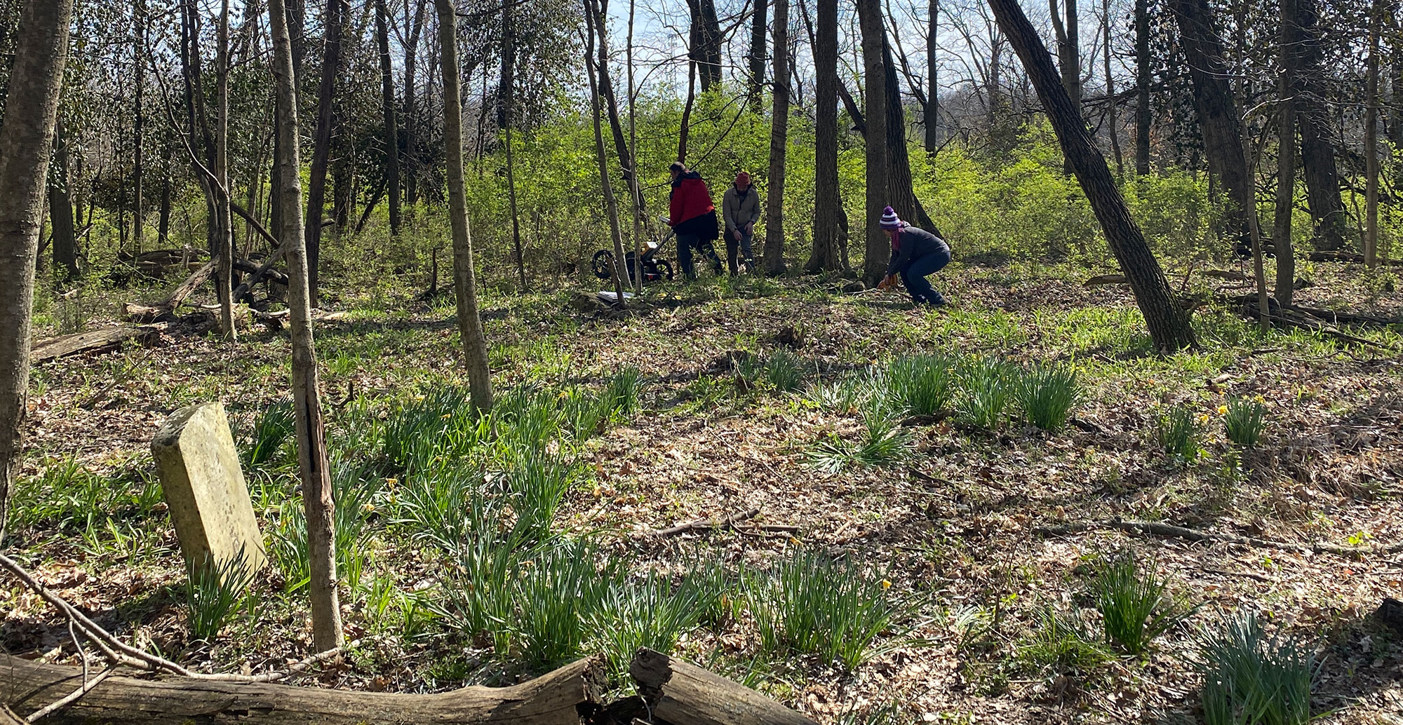 Archaeologists collecting ground-based GPR, Simpsonville, Kentucky