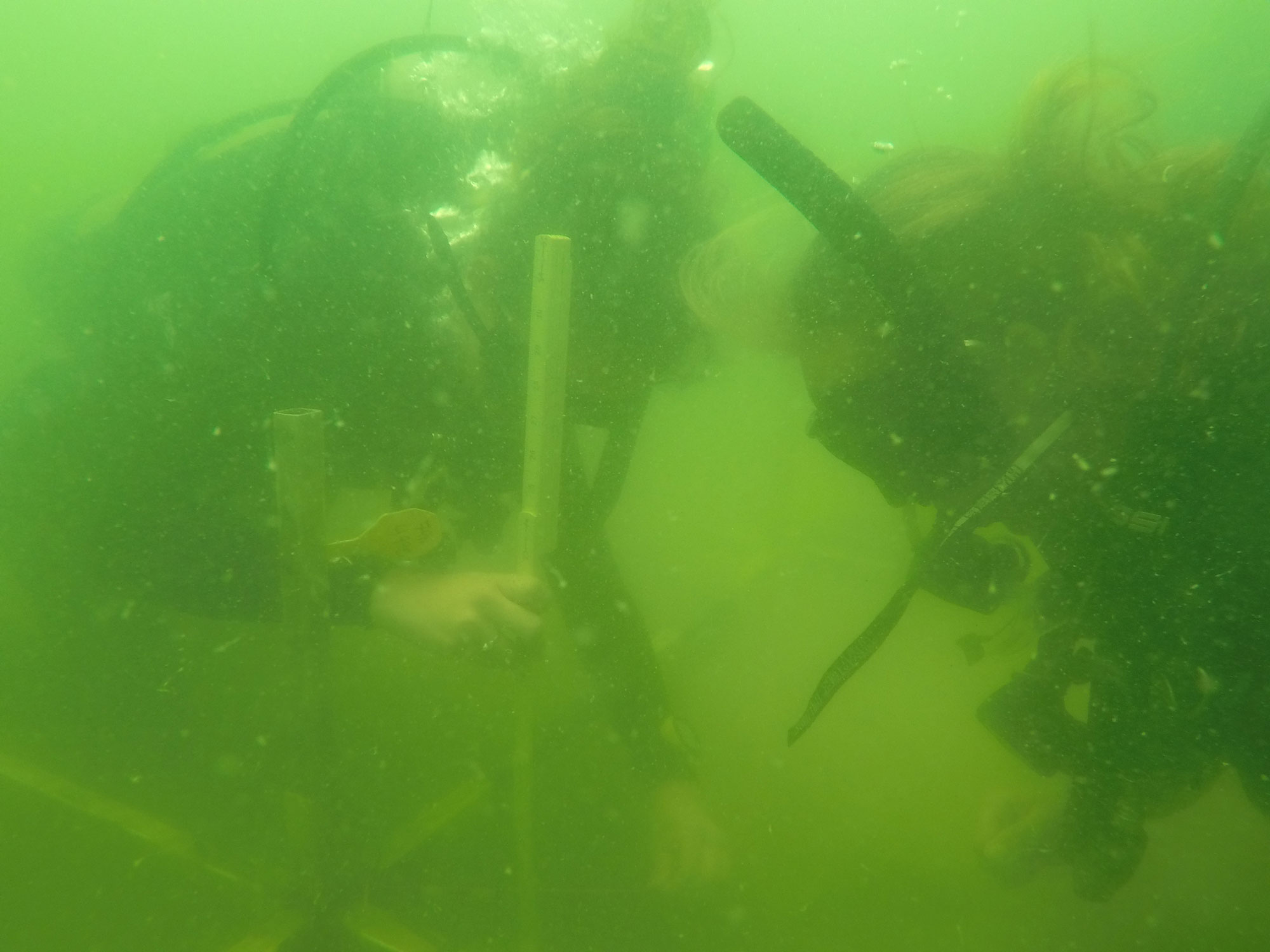 Archaeologists excavate the Emanuel Point II Wreck, Pensacola Bay, Florida