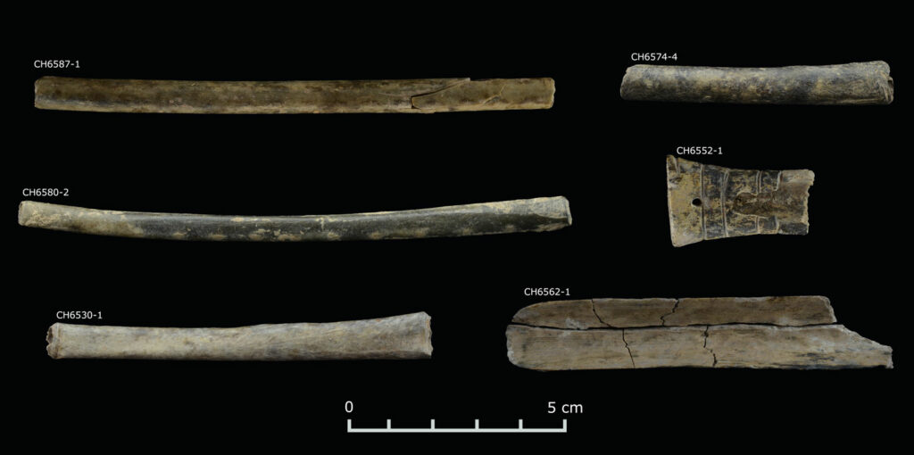 Bone snuff tubes