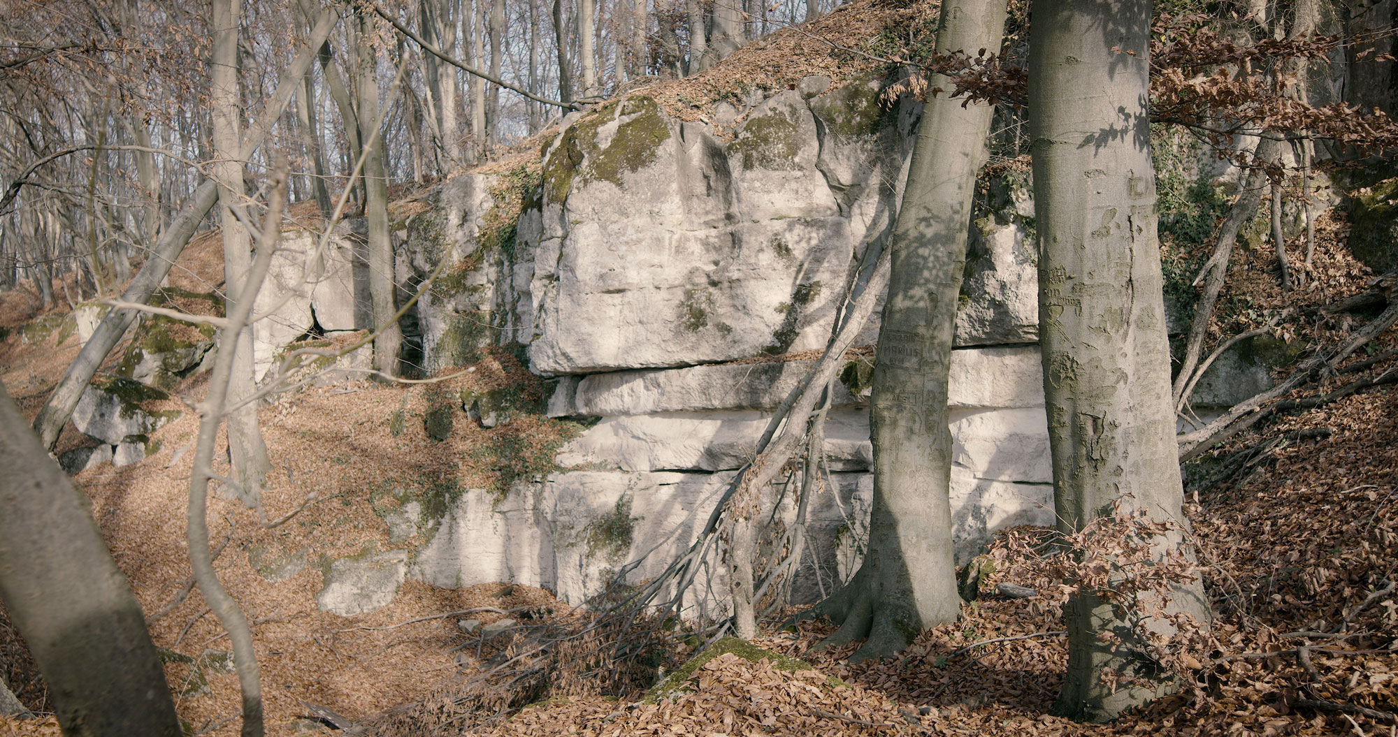 Quarry, Magura Calanului Hill, Romania