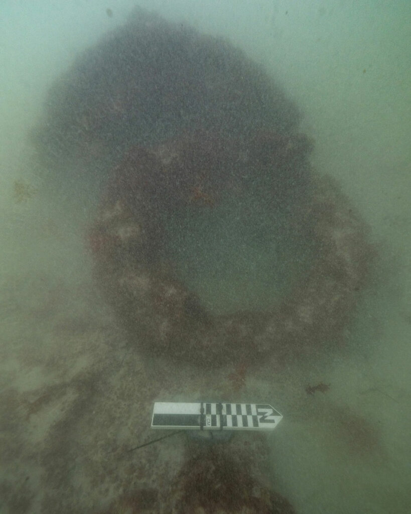 Iron component of the ship's windlass, Guichen Bay, Australia