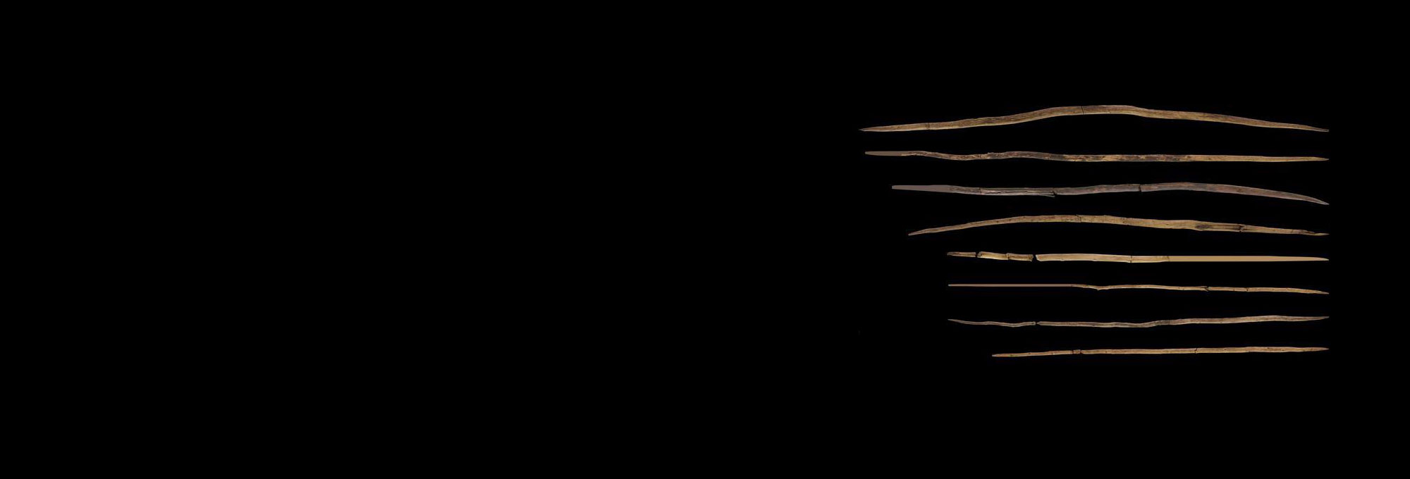 Schöningen spears
