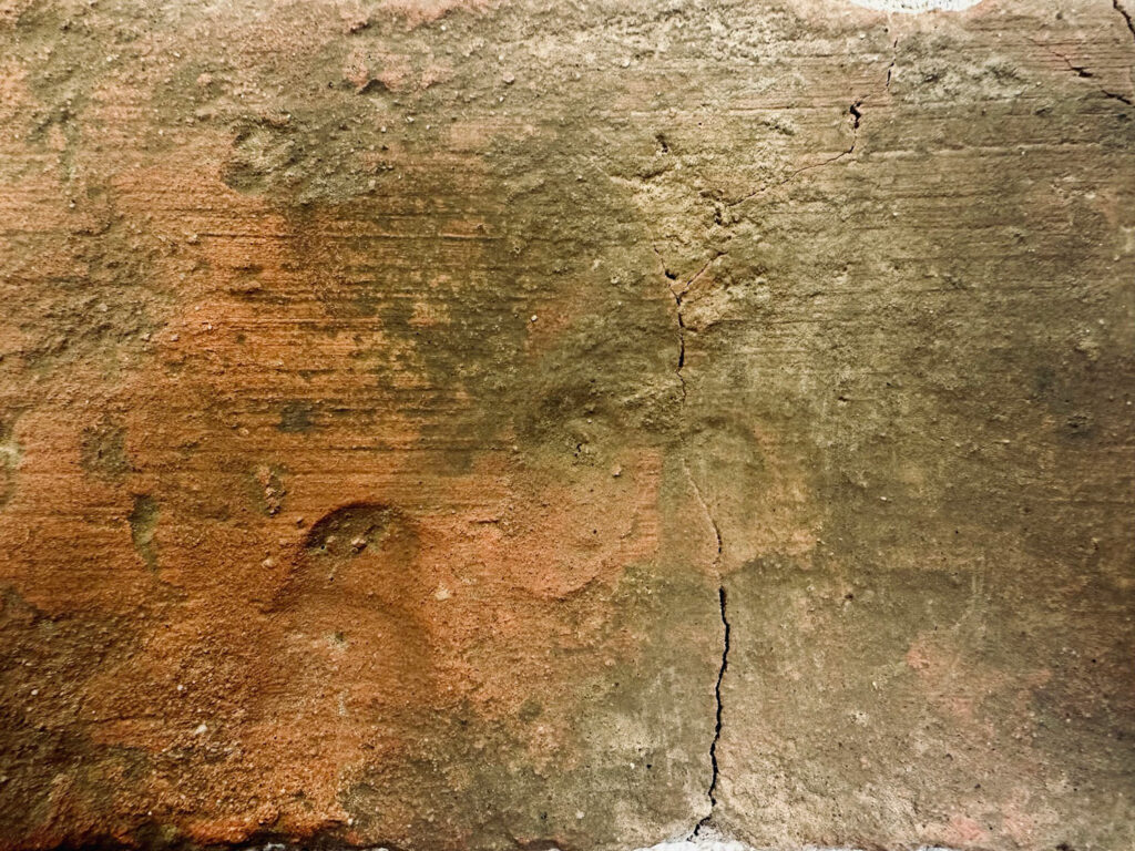 Brick with fingerprints