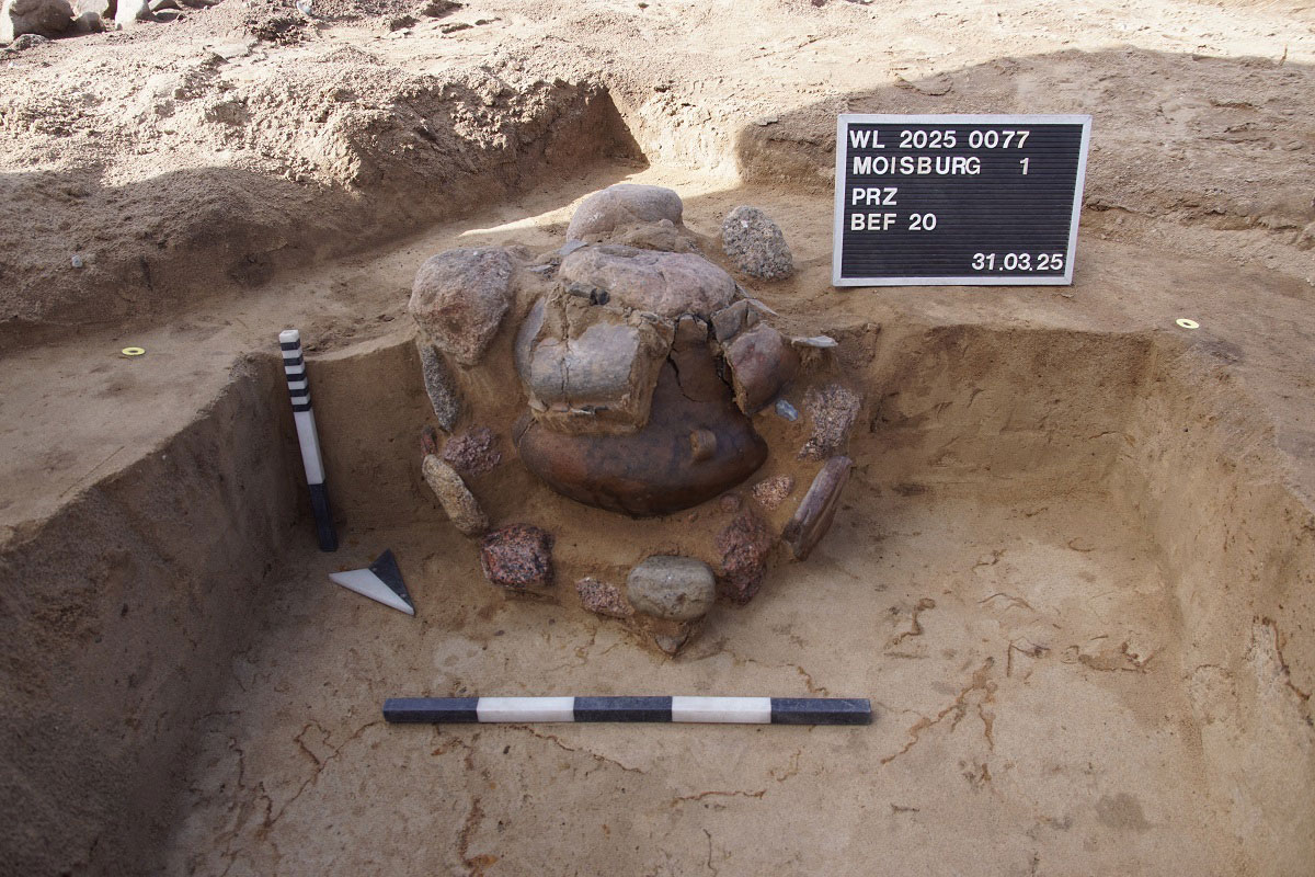 Urn unearthed along K17, Moisburg, Germany