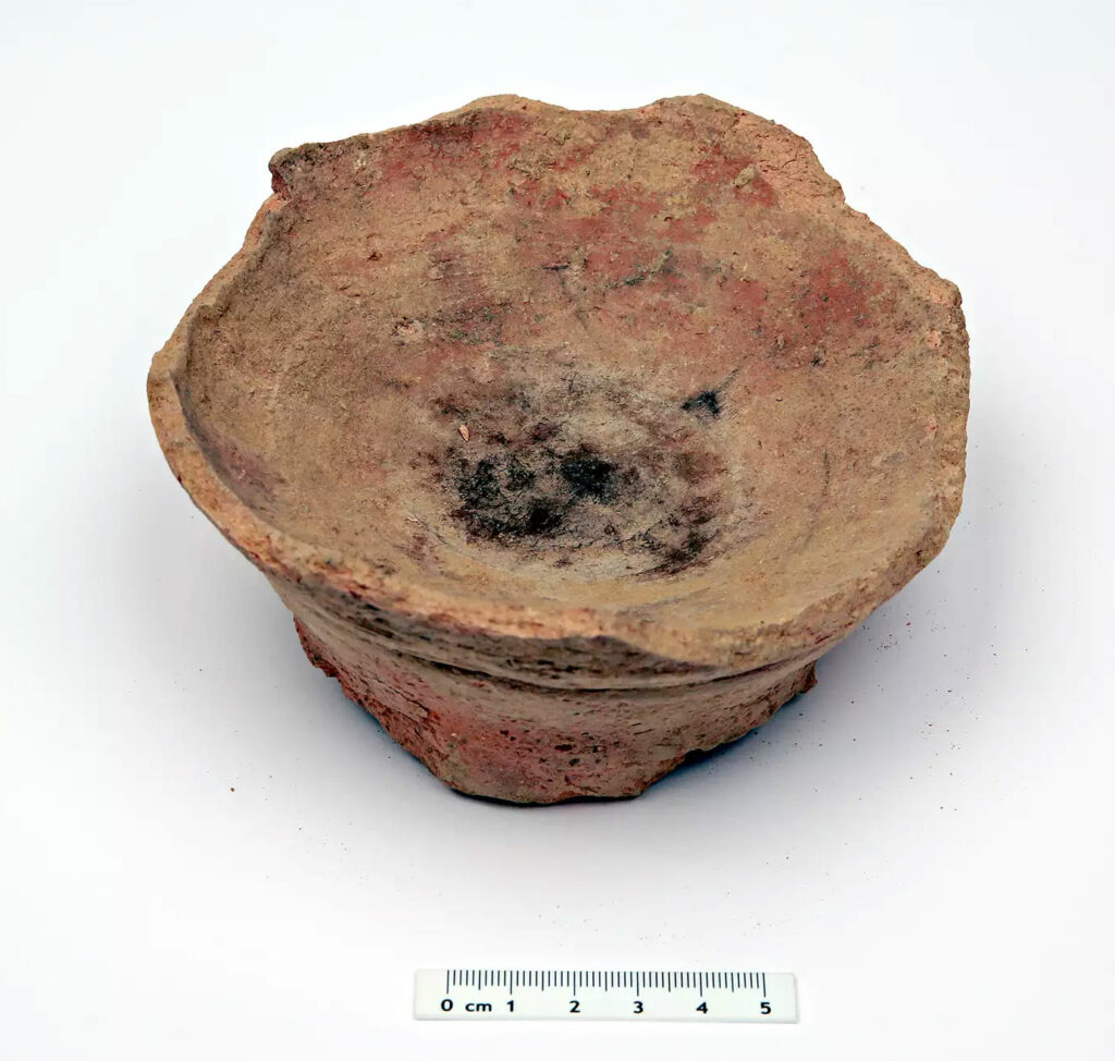 Fumigation device used in the inhalation of harmal