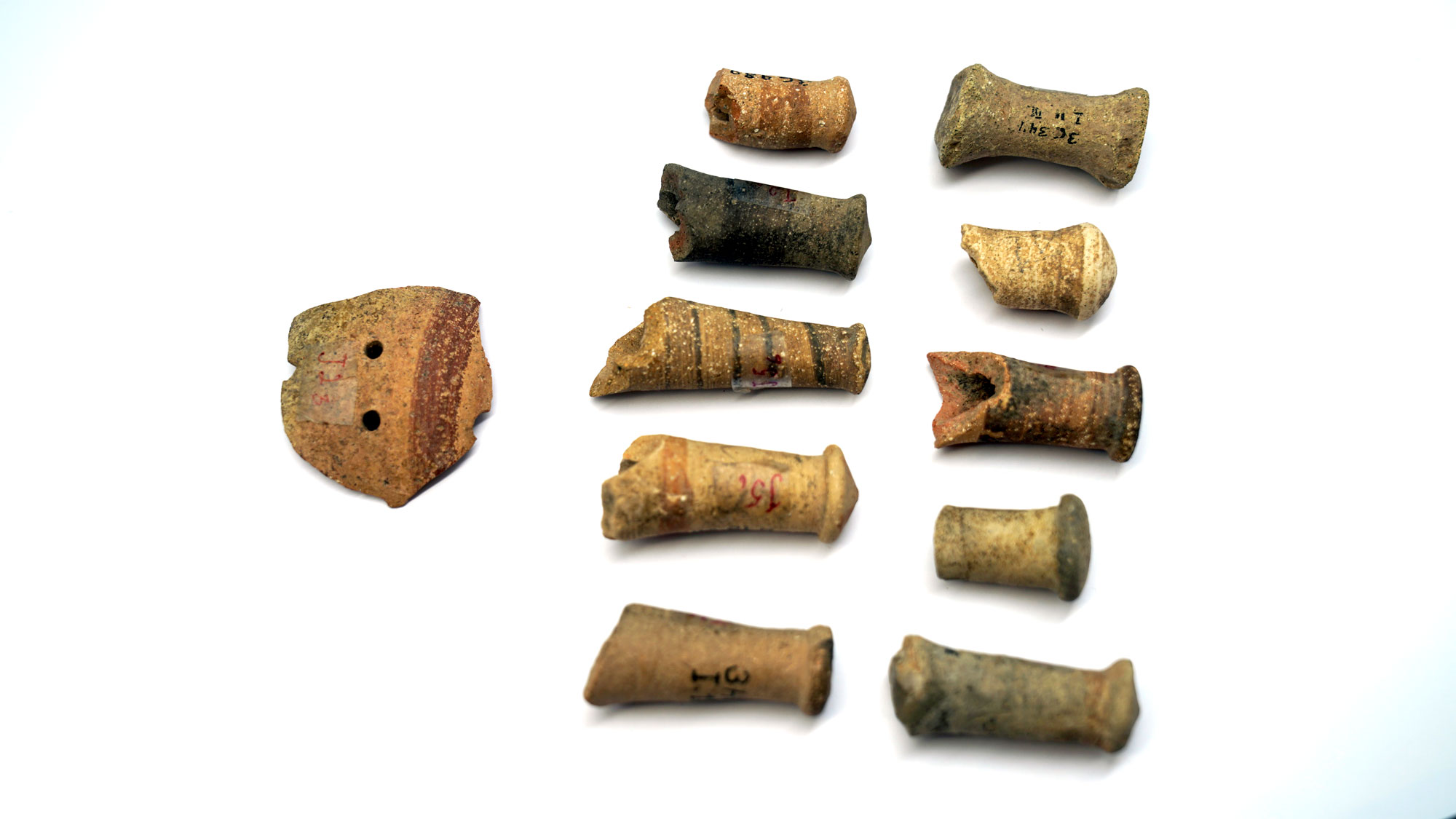 Baby rattle fragments