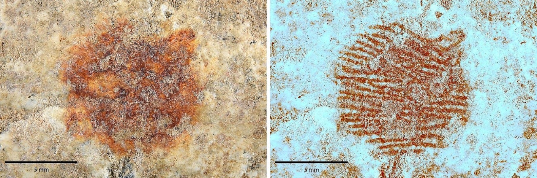 Red dot on rock (left) and multispectral image of the dot (right) that reveals it as a human fingerprint