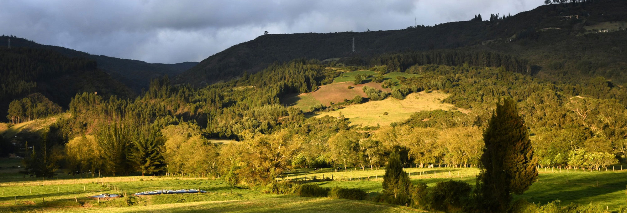 Panoramic view of the Altiplano, the high plains around Bogotá, Colombia