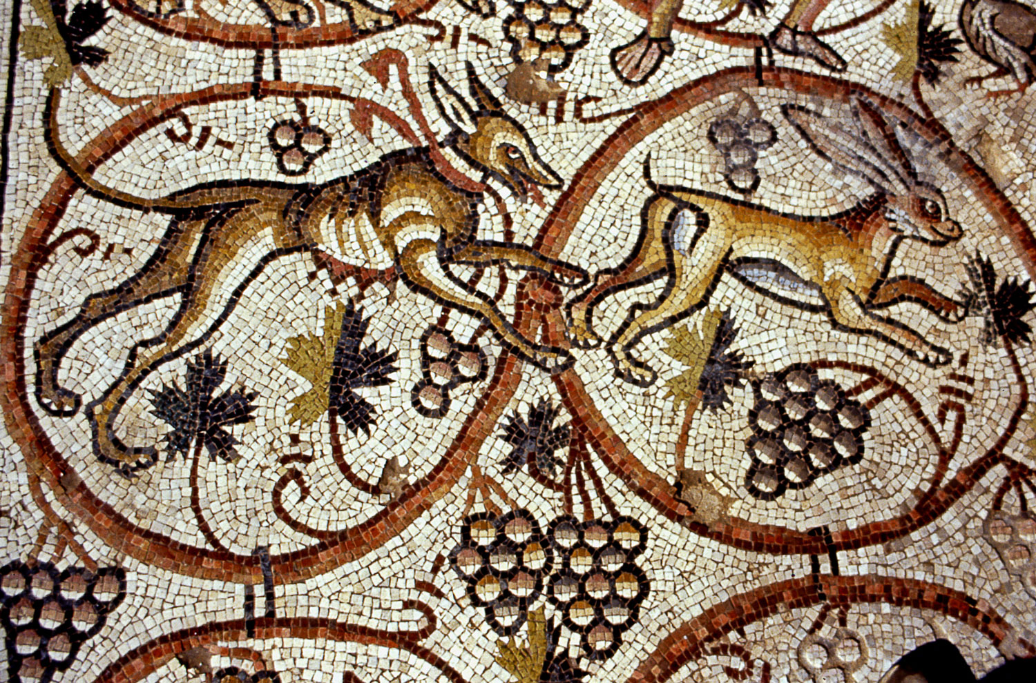Nachshon Sneh, Israel Antiquities Authority