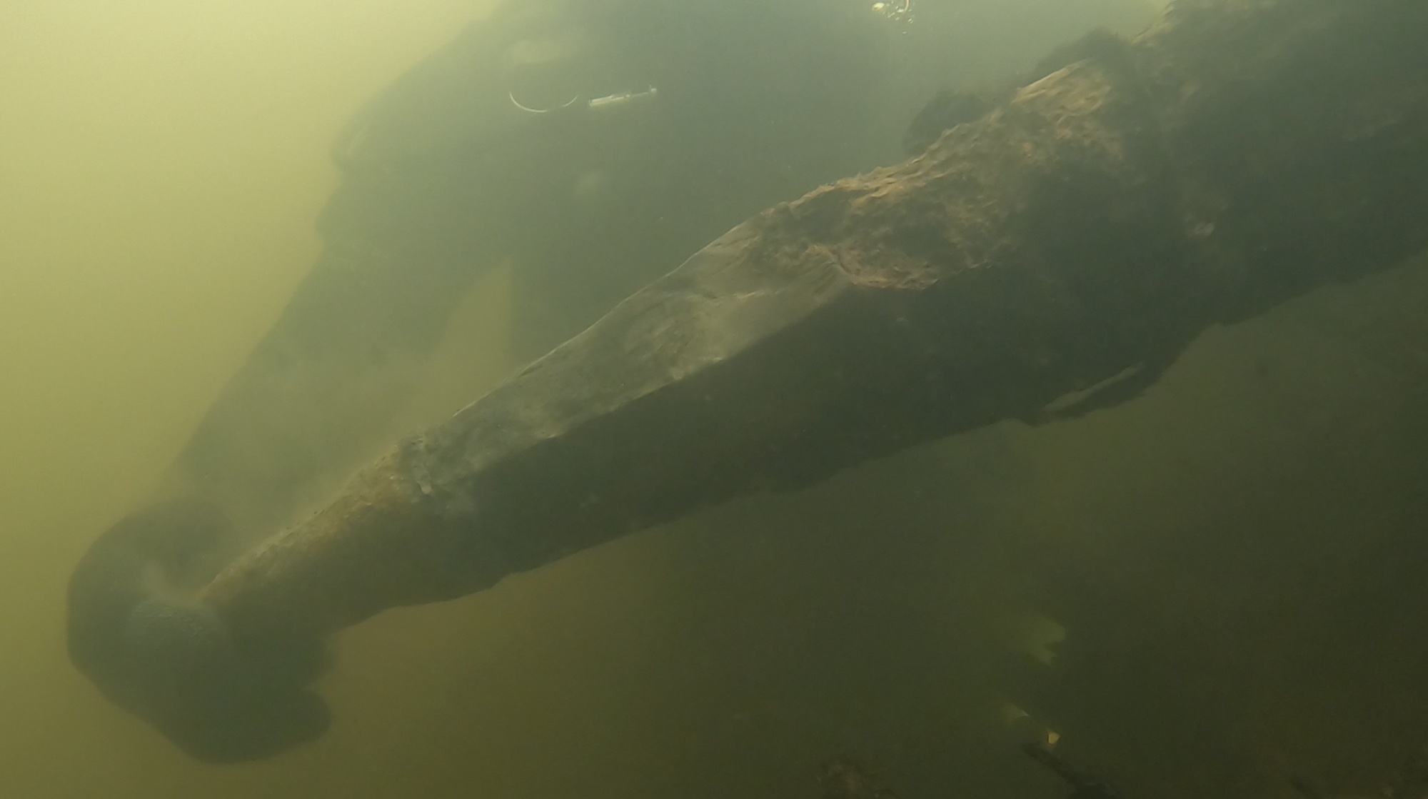 Post with tool marks submerged in the River Wear, Shincliffe, England