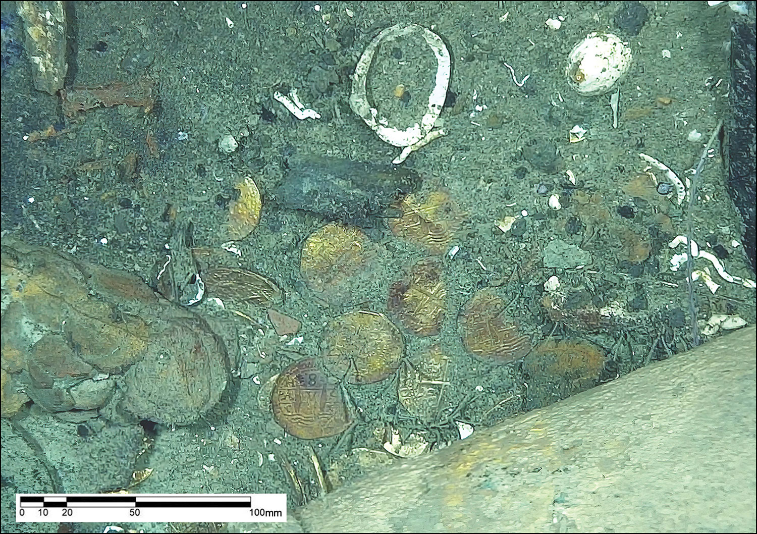 Cob hoard in the stern of the San Jose galleon
