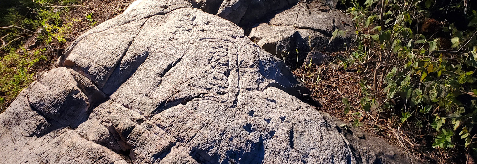 Runestone near Wawa, Ontario, Canada