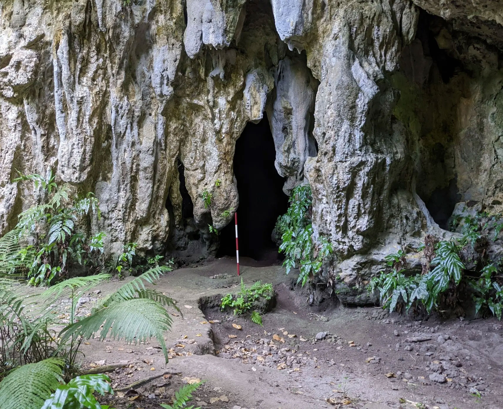 Entrance of Ritidian Beach Cave, Guam