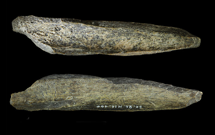 Bone tool