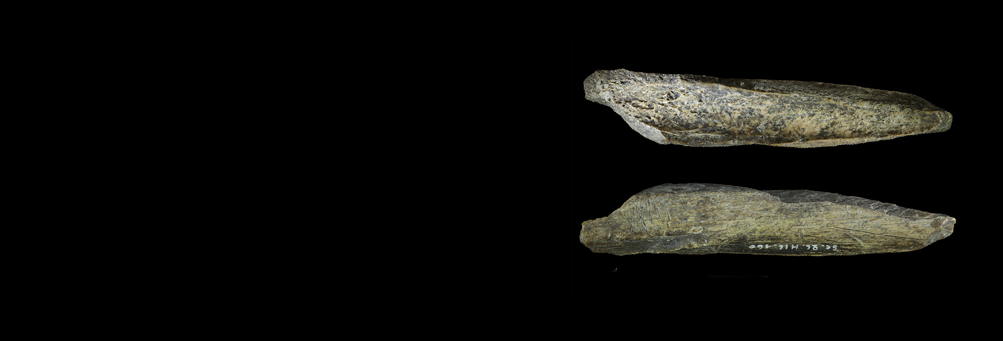 Bone tool