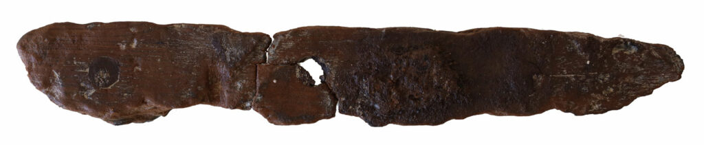 Wooden plank from ship hull